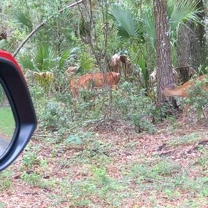 Meet your Posher, Artemio